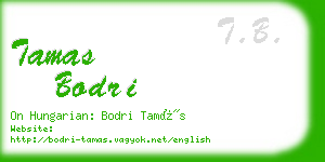 tamas bodri business card